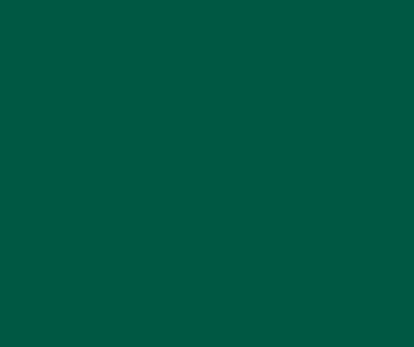 594x498 Verde